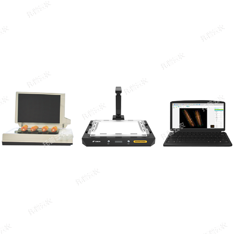 玉米考種分析系統